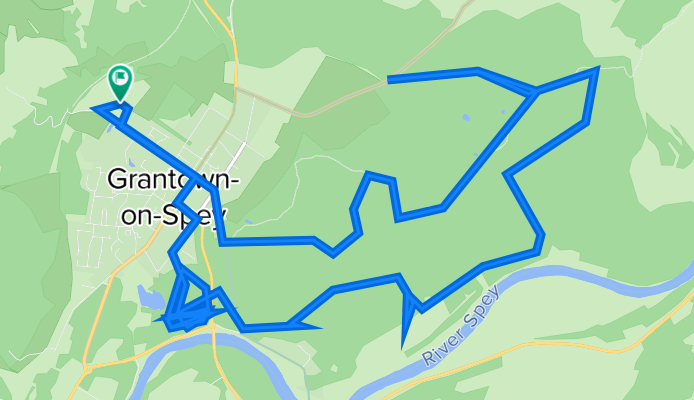 Anagach wood - Free Church Wood mtb park