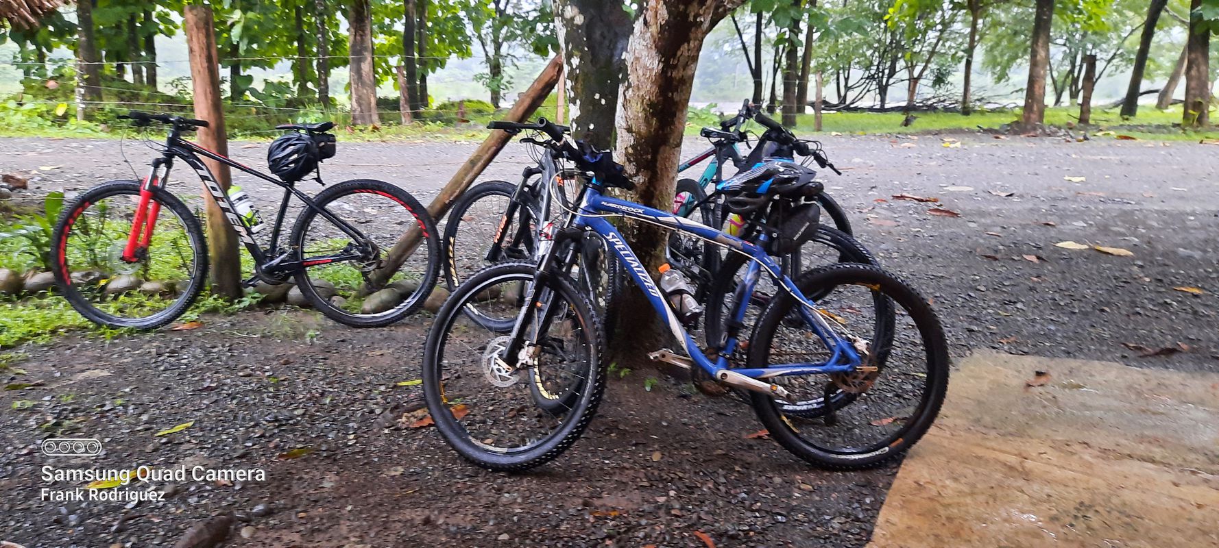 De GMGF+H6J, Parrita a Calle 21, Parrita