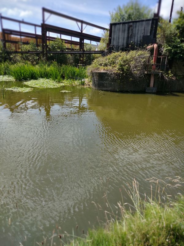 Bayweaver Street Halfords canal A5117 Ince Firbank 28, Elton