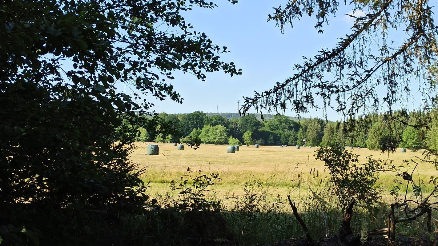 Waldsee Tour Glashütter Wiesen