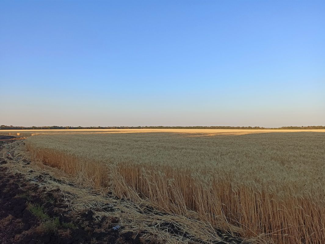 ул. Горького, Абрамовка до ул. Горького, Абрамовка