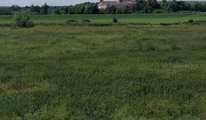 Foto 2 der Bikemap-Route "Niepołomice"