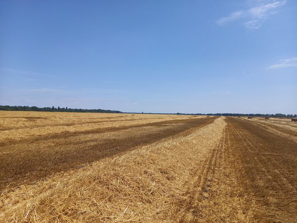 Foto 2: Deni Šureková