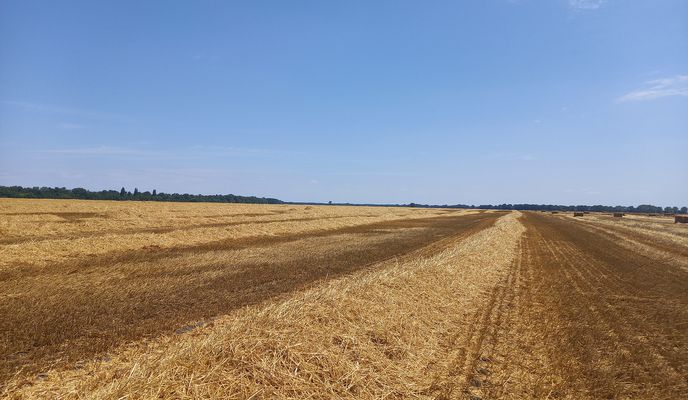 Foto 2 del percorso Bikemap "Veľký okruh Okočský"