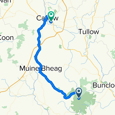 Unnamed Road to Silver Pines 27, Carlow