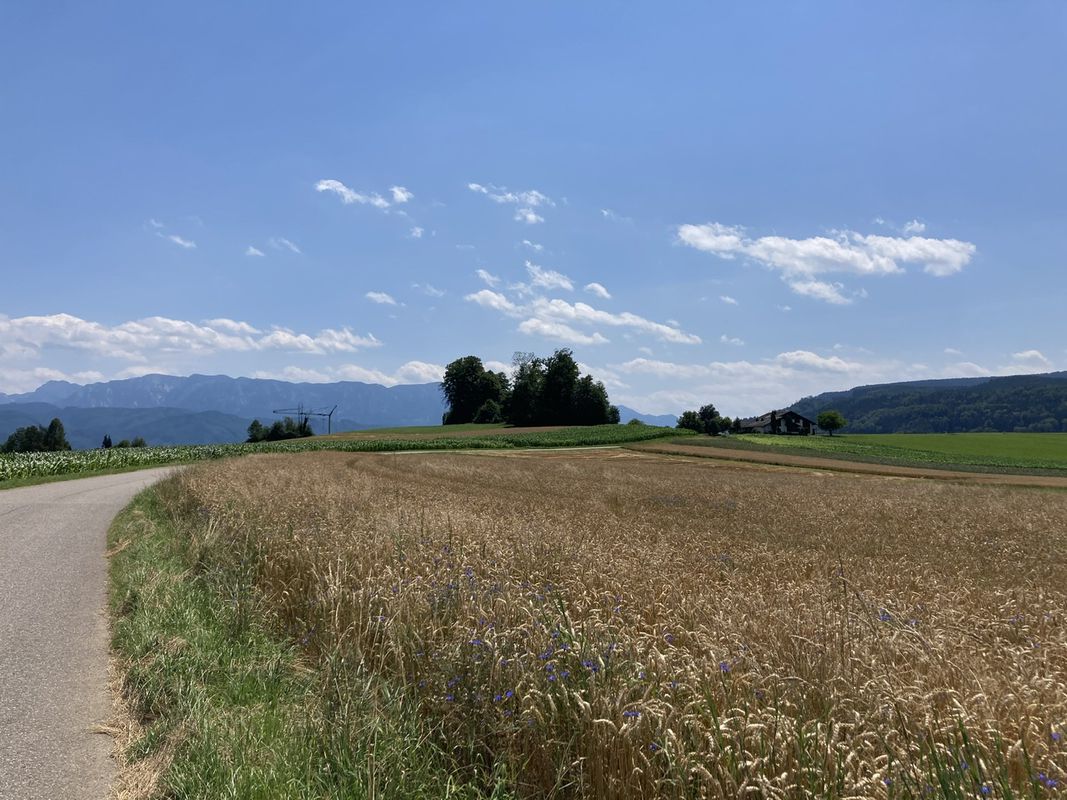 Salzburg – Attergau – Mondsee