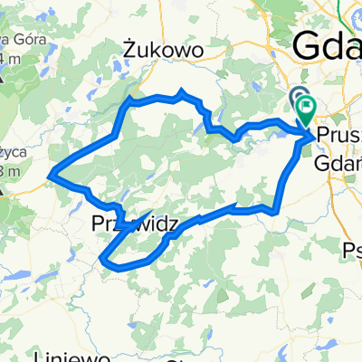 do borcza przez trzepowo