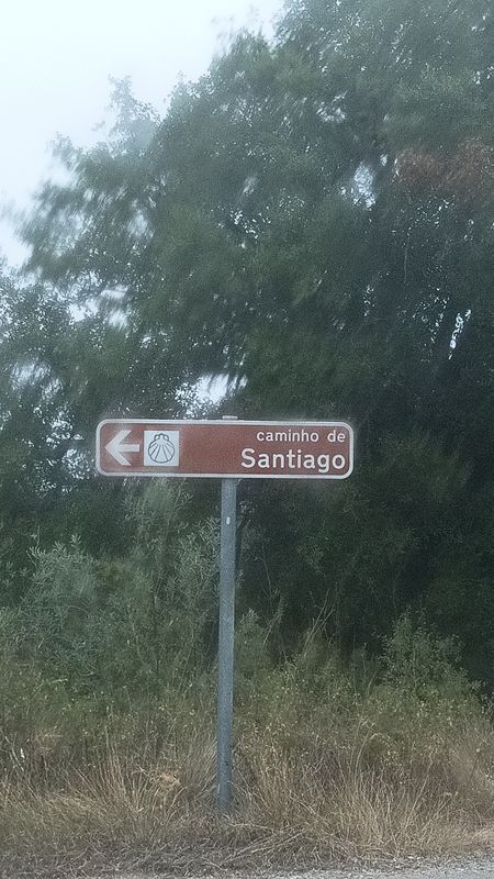 De Rua do Passeio Alegre 3, Porto a Avenida 9 de Julho 1590, Anha