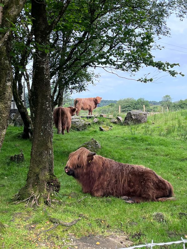 Pheasant Park, 1 The Mullins, Donegal to 1 Ardeskin Holiday Homes, Donegal