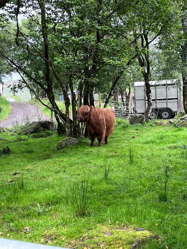 Pheasant Park, 1 The Mullins, Donegal to 1 Ardeskin Holiday Homes, Donegal
