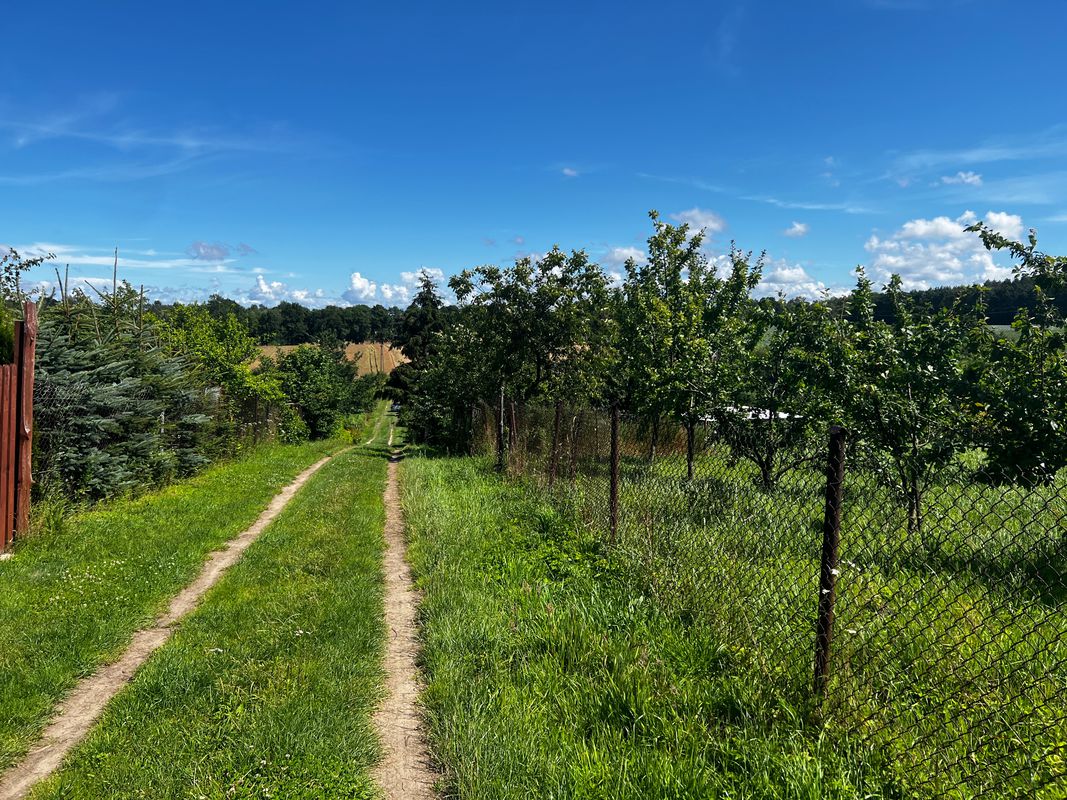 Mielczarskiego 31C, Braniewo do Dąbrowskiego 20, Braniewo