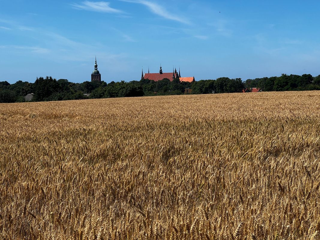 Mielczarskiego 31C, Braniewo do Dąbrowskiego 20, Braniewo
