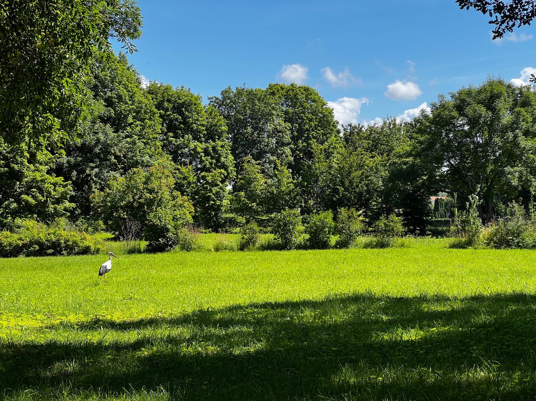 Mielczarskiego 31C, Braniewo do Dąbrowskiego 20, Braniewo