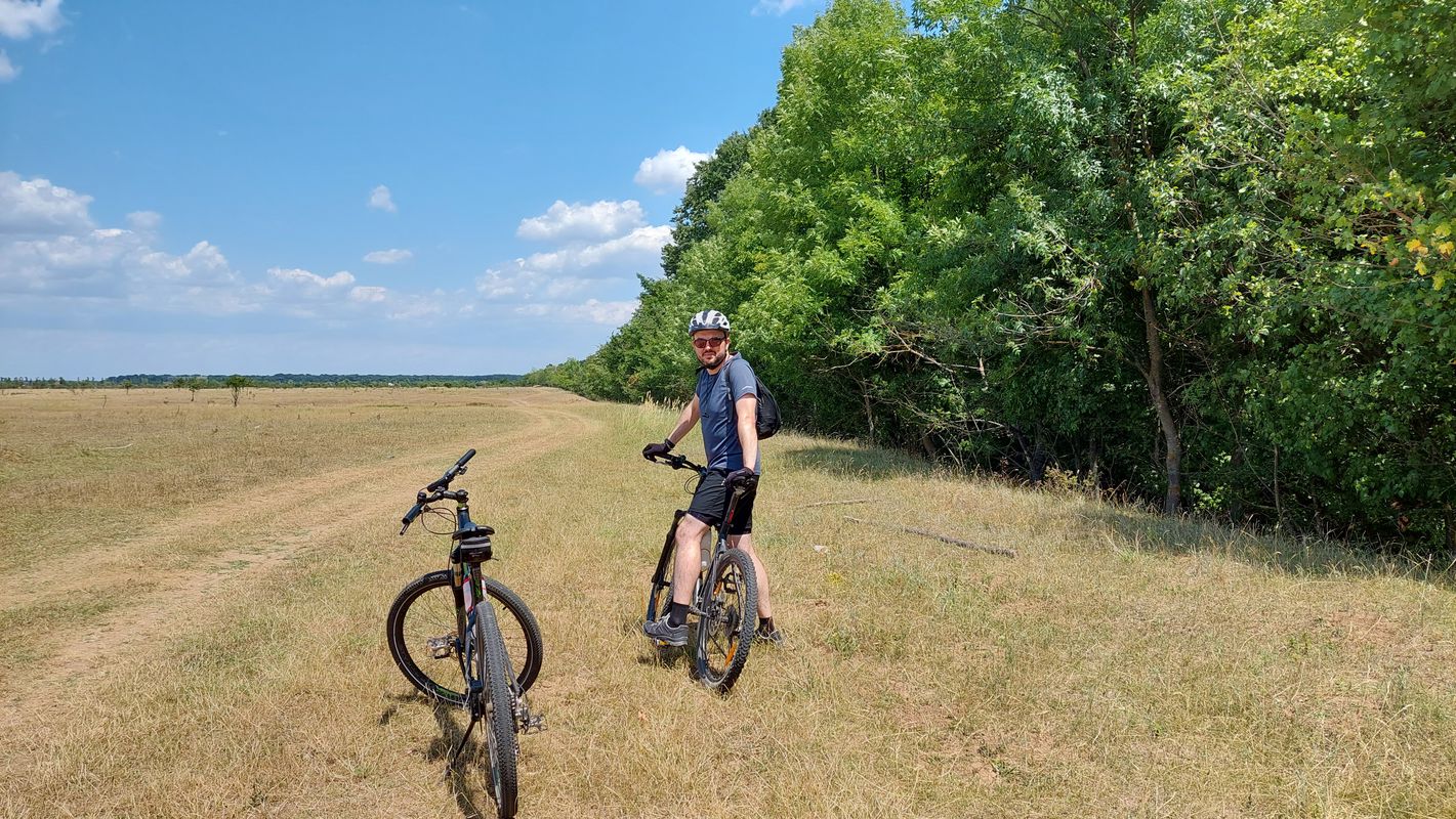 Strada Sfantul Andrei, Pantelimon to DJ301 18, Cernica