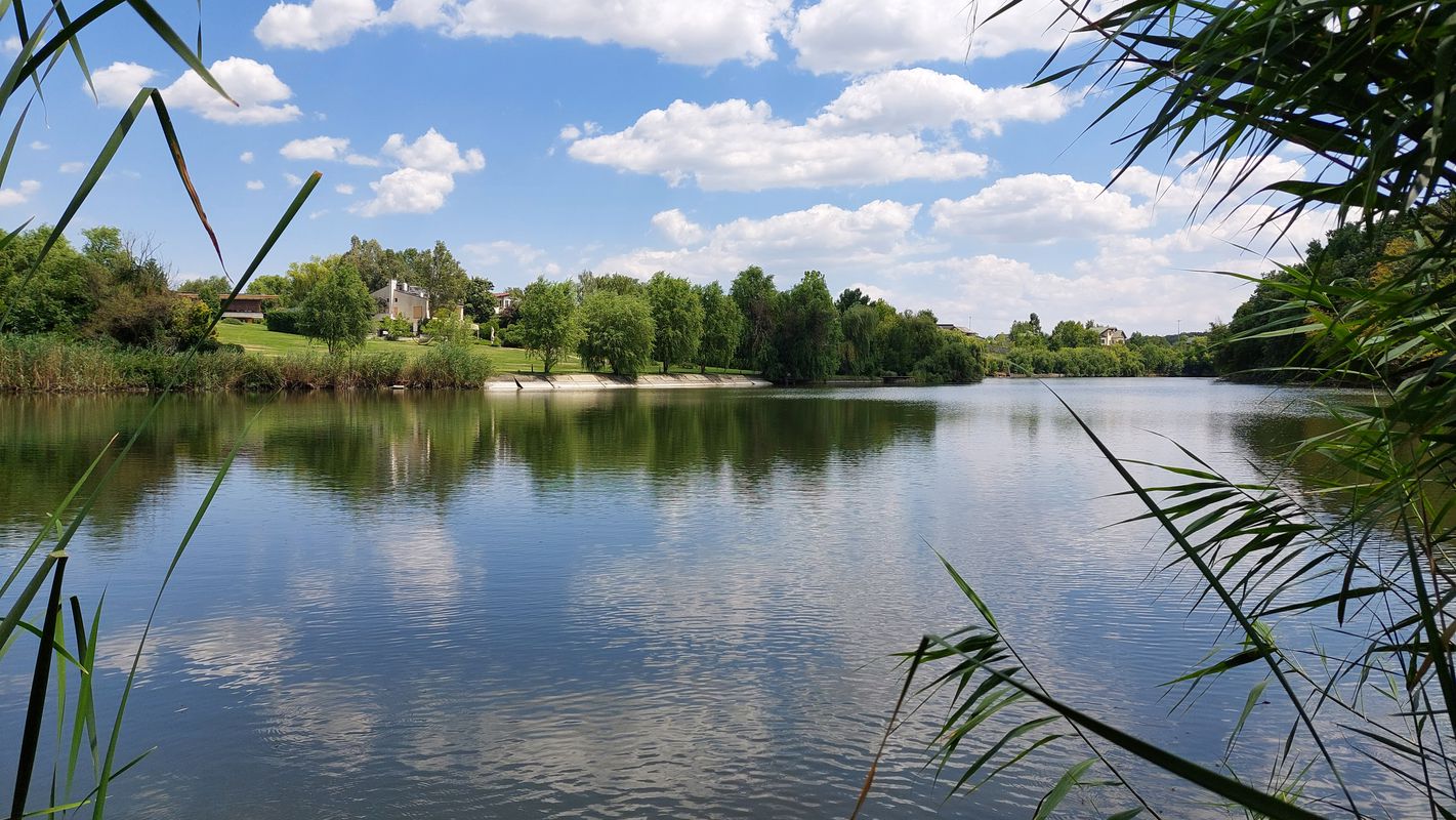 Strada Sfantul Andrei, Pantelimon to DJ301 18, Cernica