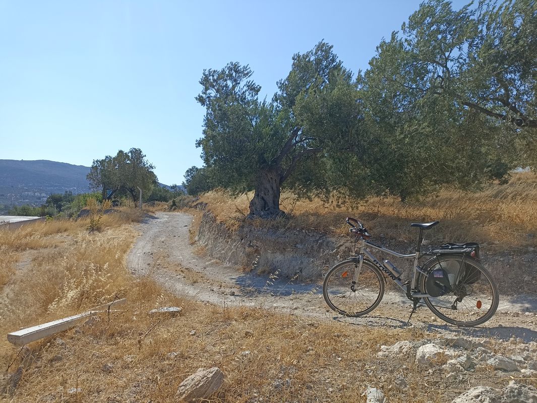 Dikili - Bademli penisula - beachs