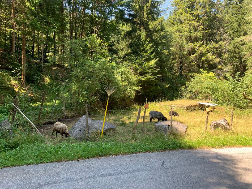 Paternion Runde mit Drauradweg