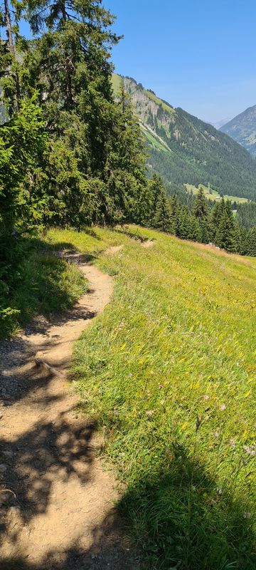 Lenk-Betelberg-Walleggstube
