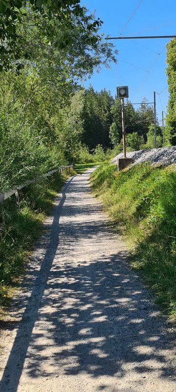 Lenk Walleggstube-Zweisimmen