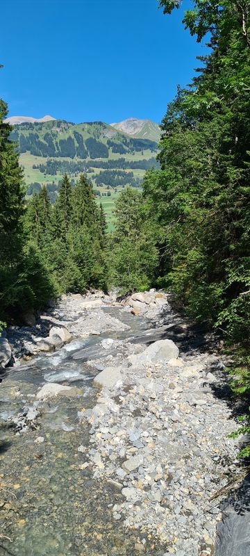 Lenk Walleggstube-Zweisimmen