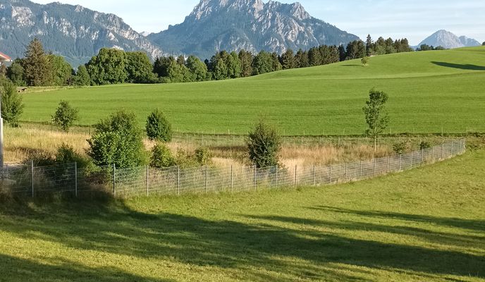 Foto 2 der Bikemap-Route "Höhenstraße 21, Füssen nach Höhenstraße 21, Füssen"