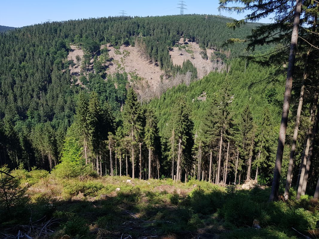 Waldstraße 3, Eisfeld nach Waldstraße 1, Eisfeld