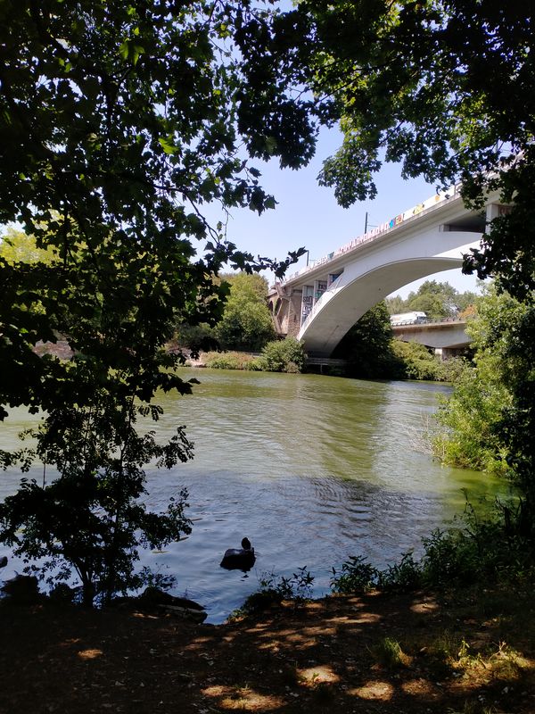 От Rue de Nantes 101, Pont-Saint-Martin до Rue des Menanties 26, Pont-Saint-Martin
