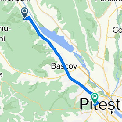 Borlești, Merișani to Strada Trivale 46B, Pitești