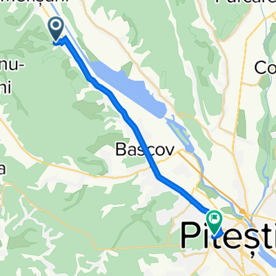 Borlești, Merișani to Strada Trivale 46B, Pitești