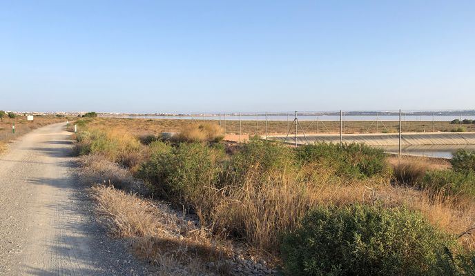 Foto 1 der Bikemap-Route "La Mata- Laguna Rosa Torrevieja"