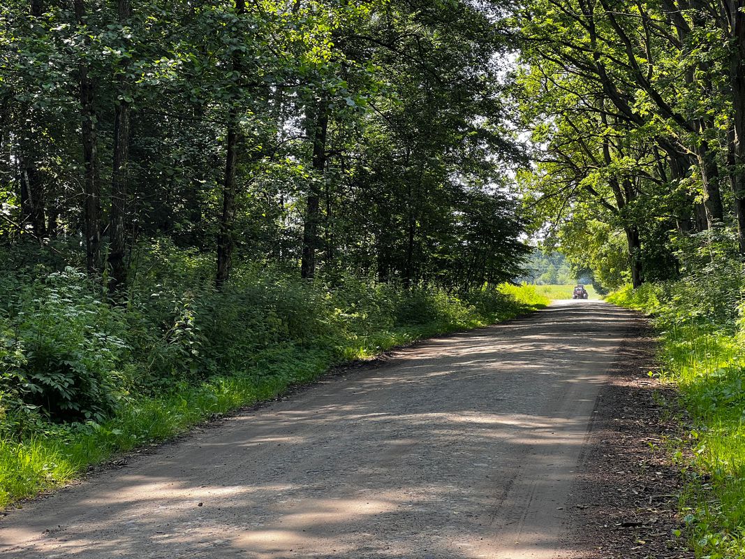 Dąbrowskiego 3–17, Braniewo do Dąbrowskiego 18, Braniewo