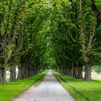 Zons - Düsseldorf Medienhafen - Schloss Benrath