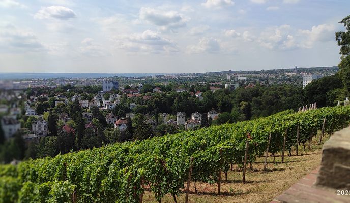 Photo 2 of the Bikemap route "Wiesbaden Rundtour mit Rhein"