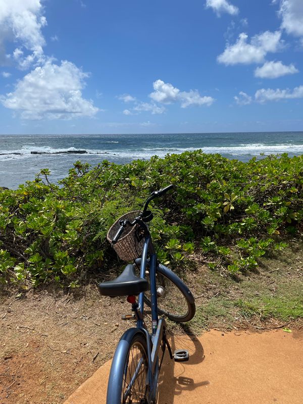 4-1783–4-1817 Kuhio Hwy, Kapaa to 4-820 Kuhio Hwy, Kapaa