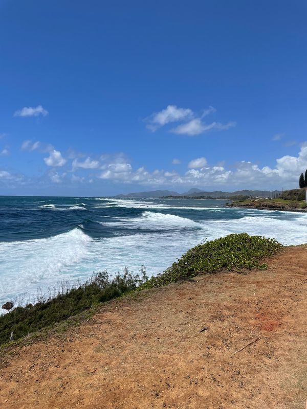 4-1783–4-1817 Kuhio Hwy, Kapaa to 4-820 Kuhio Hwy, Kapaa