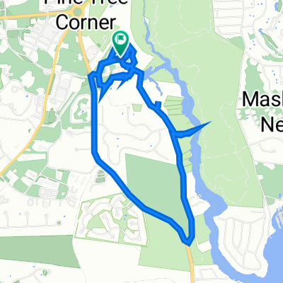 Windchimes Conservency