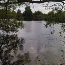 Foto 8 der Bikemap-Route "Прогулка с собакой"