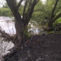 Foto 7 der Bikemap-Route "Прогулка с собакой"