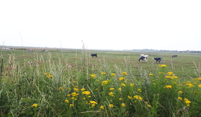 Foto 1 der Bikemap-Route "Longacre 71 to Radnor Drive 86"