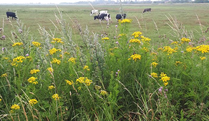 Foto 2 der Bikemap-Route "Longacre 71 to Radnor Drive 86"