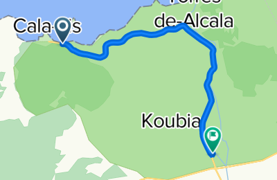 Route in der Bikemap App öffnen