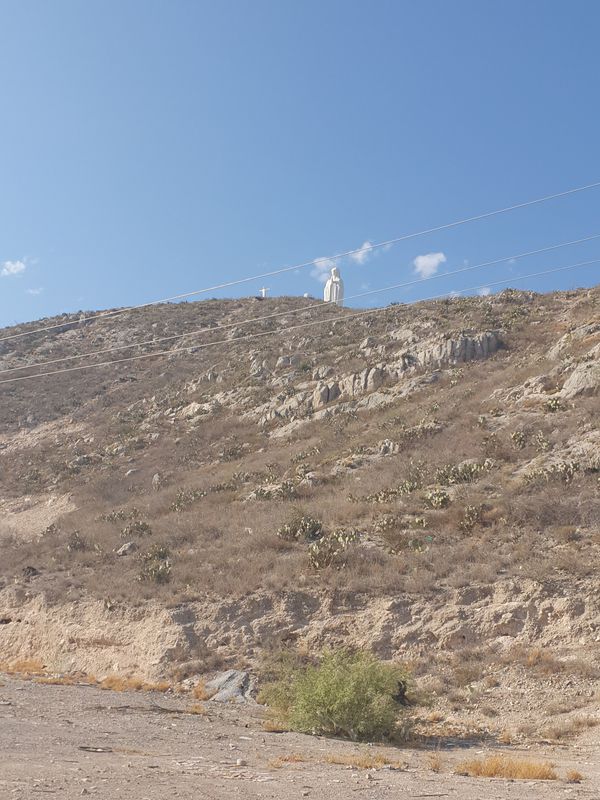 Lerdo - Virgen del Desierto