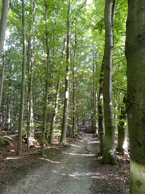 Bleichstraße 31–49, Bad Oeynhausen nach Bleichstraße 31–49, Bad Oeynhausen