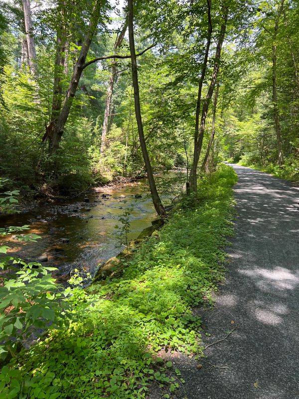 Laurel Lake, Cold Spring Road, Pine Grove Furnace Campground