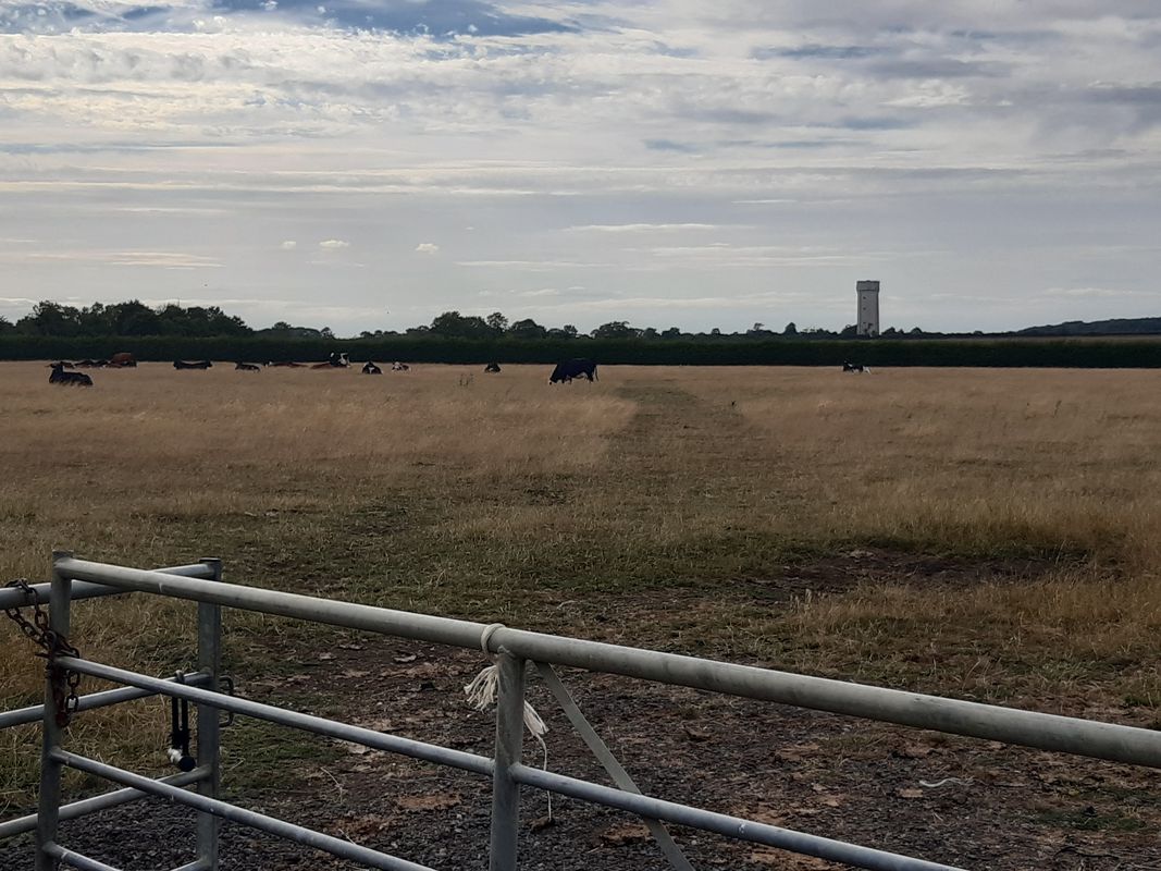 Ravensden Road 6 to Delamere Walk 1