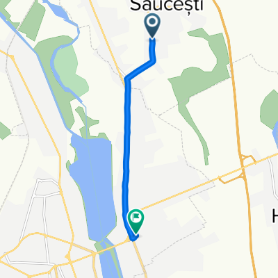 DJ207P, Săucești to Strada Tecuciului 1, Letea Veche