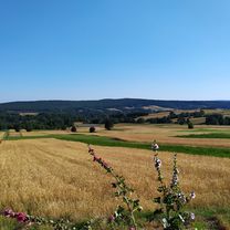 Photo 7 of the Bikemap route "Zwiedzanie okolic Kielc z Tomaszem Grzybowskim św. Krzyż"