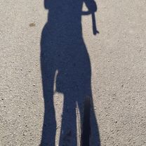 Photo 8 of the Bikemap route "Zwiedzanie okolic Kielc z Tomaszem Grzybowskim św. Krzyż"