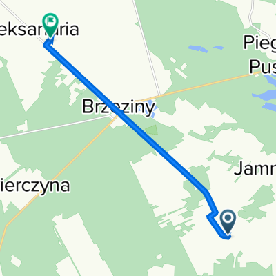 Brzeziny, Brzeziny do Brzeziny, Brzeziny