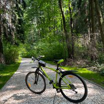 Теплый стан - Битца (родник)